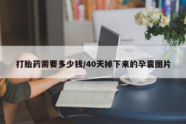 米非司酮片打胎药网店打胎药需要多少钱/40天掉下来的孕囊图片